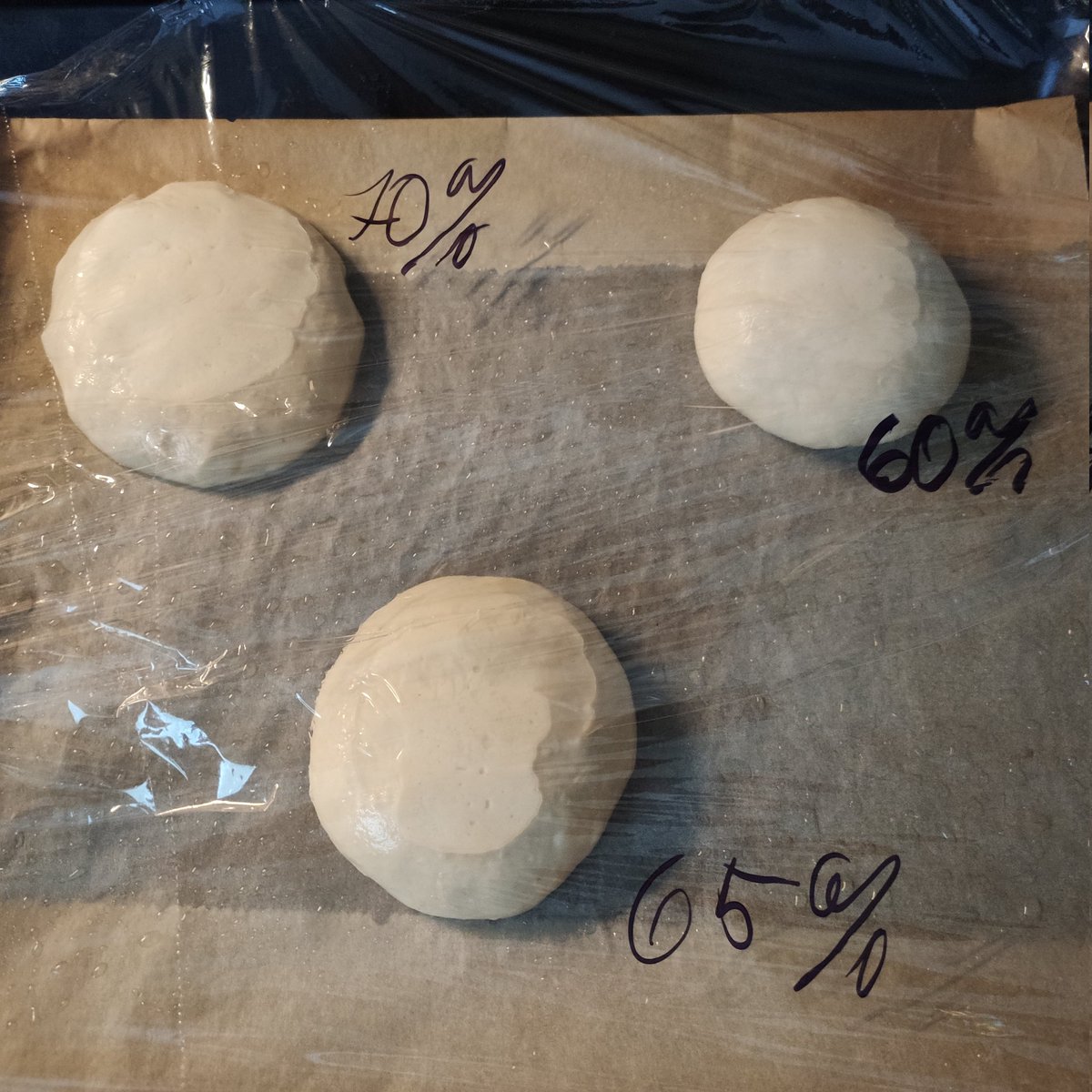 Pizza dough hydration – pizzanea.com